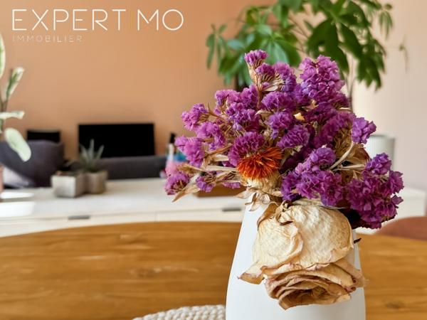 Montpellier (34070) Appartement T3 - Traversant - 70 m2 - Terrasse et vue dégagée !