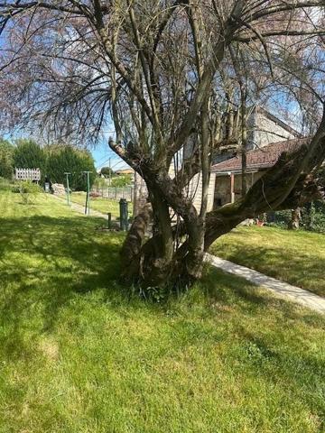 Vente / Maison T5