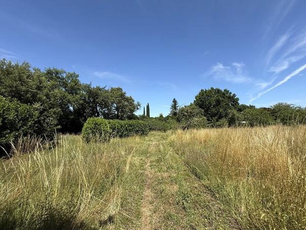 Environnement verdoyant et qualitatif