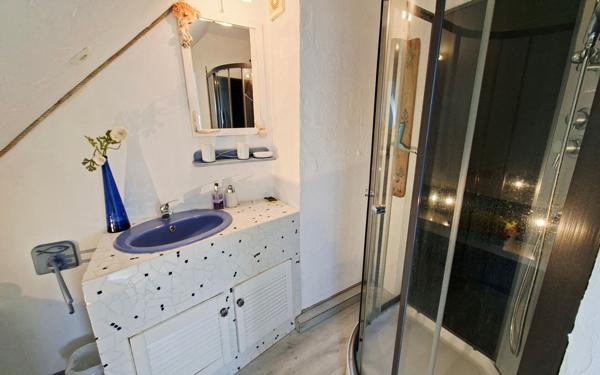 Maison à vendre    10 pièces •  Plestin-les-Grèves