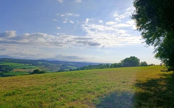 terrain constructible 5 ha PAYS BASQUE