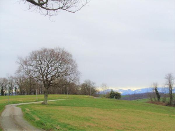 terrain constructible 5 ha PAYS BASQUE