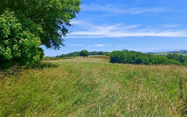 terrain constructible 5 ha PAYS BASQUE