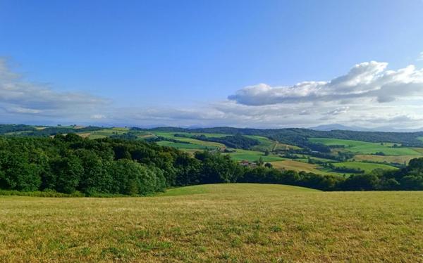 terrain constructible 5 ha PAYS BASQUE