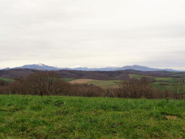 terrain constructible 5 ha PAYS BASQUE