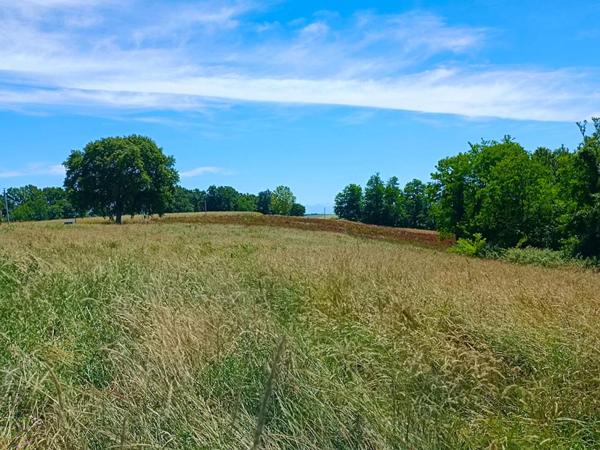 terrain constructible 5 ha PAYS BASQUE