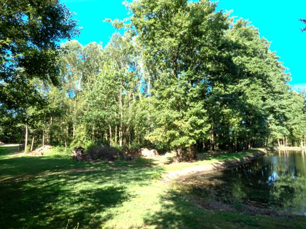 Nieul-le-Dolent (85430) Terrain d’environ 13 512 m², composé de 2 étangs, d'une prairie et d'une forêt