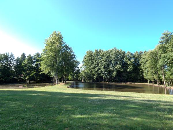 Nieul-le-Dolent (85430) Terrain d’environ 13 512 m², composé de 2 étangs, d'une prairie et d'une forêt