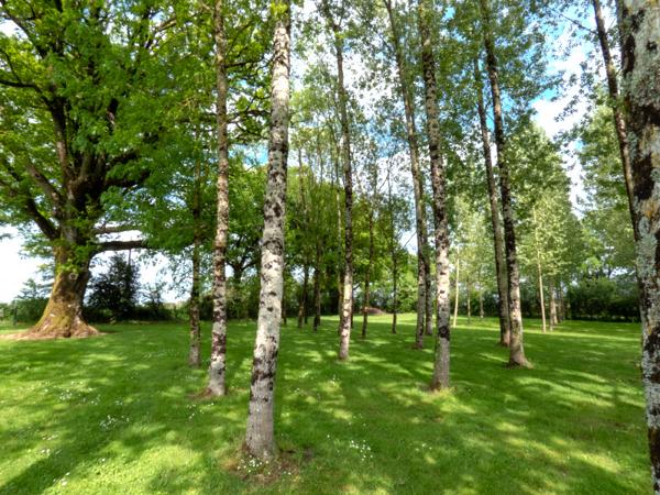 Nieul-le-Dolent (85430) Terrain d’environ 13 512 m², composé de 2 étangs, d'une prairie et d'une forêt