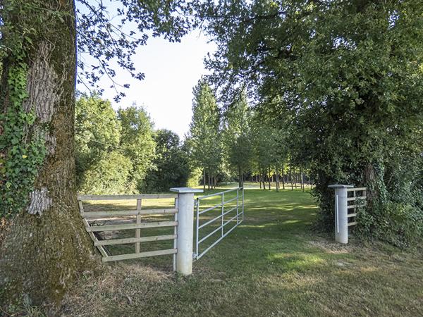 Nieul-le-Dolent (85430) Terrain d’environ 13 512 m², composé de 2 étangs, d'une prairie et d'une forêt