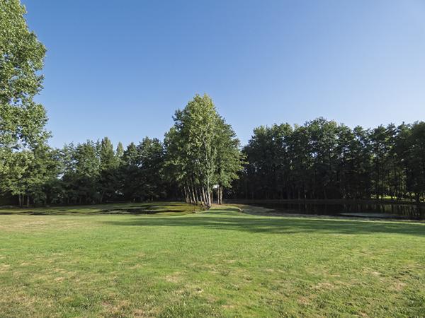 Nieul-le-Dolent (85430) Terrain d’environ 13 512 m², composé de 2 étangs, d'une prairie et d'une forêt