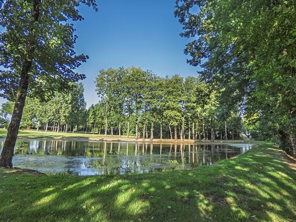 Nieul-le-Dolent (85430) Terrain d’environ 13 512 m², composé de 2 étangs, d'une prairie et d'une forêt