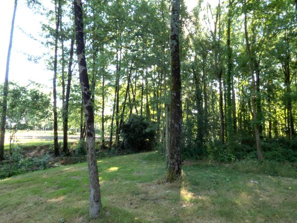 Nieul-le-Dolent (85430) Terrain d’environ 13 512 m², composé de 2 étangs, d'une prairie et d'une forêt