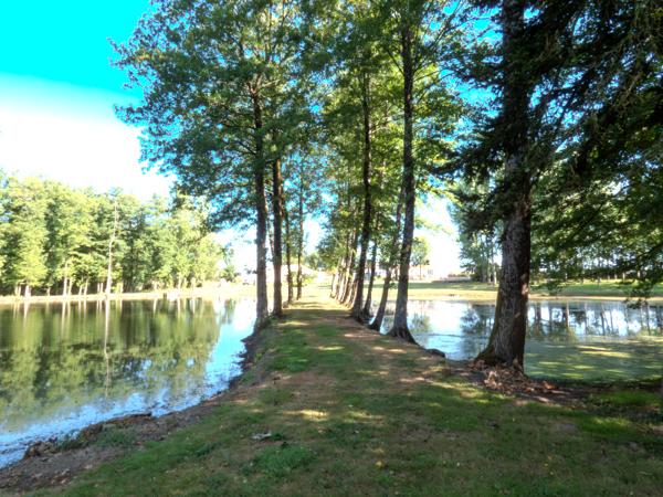 Nieul-le-Dolent (85430) Terrain d’environ 13 512 m², composé de 2 étangs, d'une prairie et d'une forêt