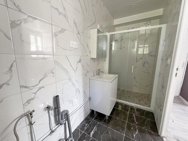 Petite maison rénovée sur grand terrain boisé