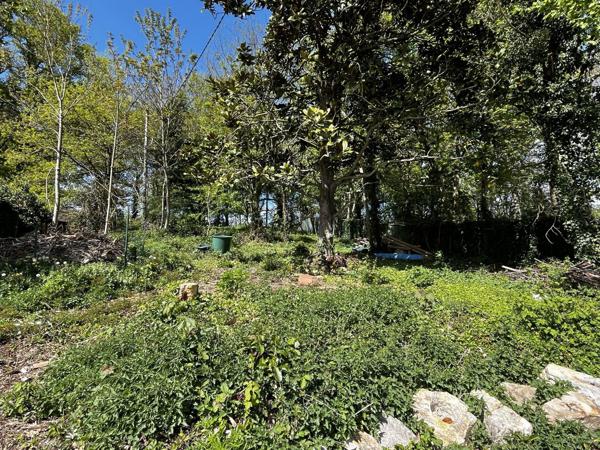 Petite maison rénovée sur grand terrain boisé