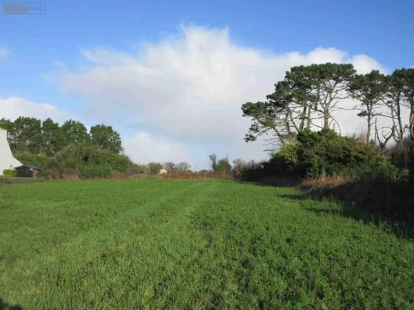 Achat - Maison Plouhinec 29780 1 pièce 1 m 2 1000 m 2