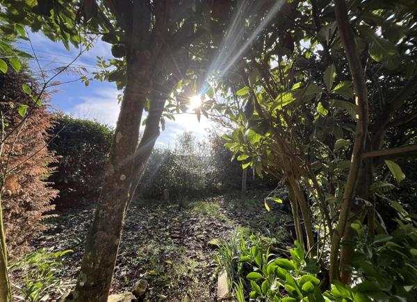 Plain pied avec jardin, garage ainsi qu'un accés aux commerces et services  !