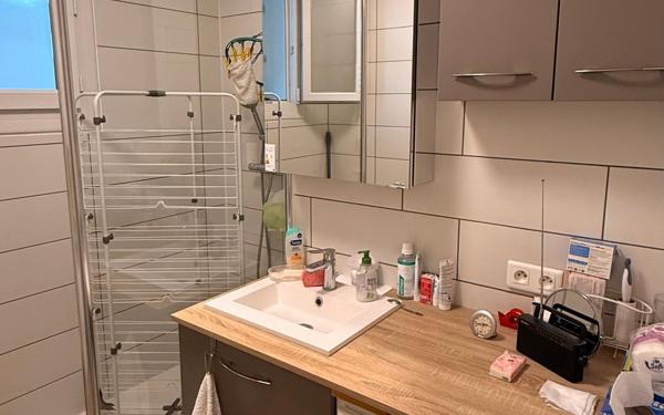 Appartement à vendre    3 pièces •  Voiron