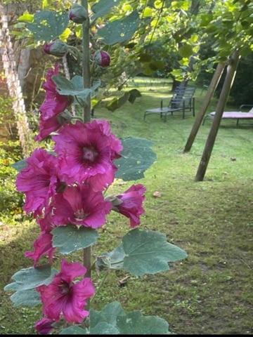 Maison de ville à vendre à Nogent-le-Rotrou dans l'Eure-et-Loir (28400), ref : 11247/266 Paty