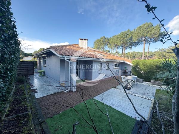 Le canon (33950) Villa 120 m² - 3 chambres - Le Canon - Lège-Cap-Ferret