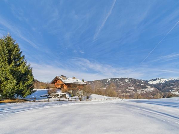 Haute Savoie (74), à vendre MORILLON - Domaine skiable du Grand Massif - Ferme Savoyarde P9