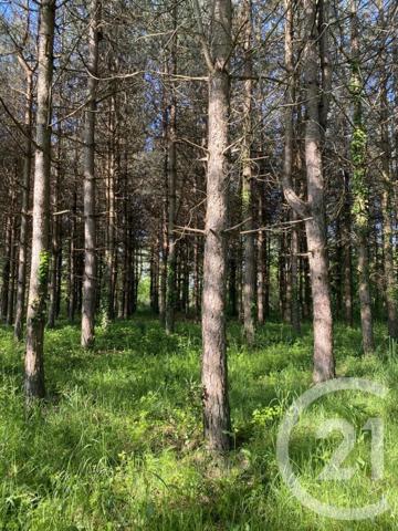 Terrain à vendre  5000 m2 ST URBAIN - 85