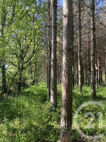 Terrain à vendre  5000 m2 ST URBAIN - 85