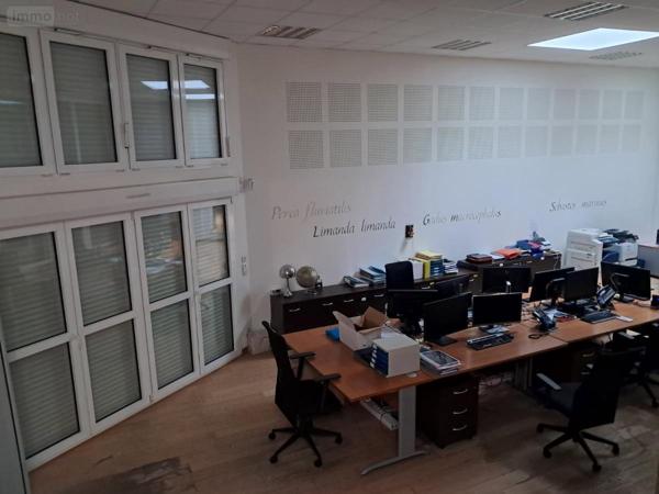 Immeuble à vendre à Le Portel dans le Pas-de-Calais (62480), ref : 62056-1153