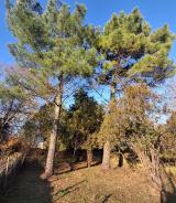 Maison  5 pièce(s)  4 chambre(s)  118.09 m²