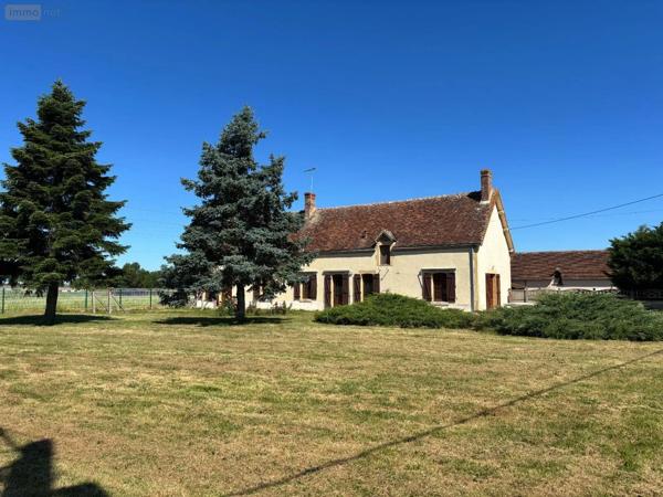 Achat - Maison | Corps de ferme Dun-le-Poëlier 36210 5 pièces 121 m 2 2355 m 2