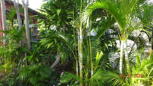 Maison 69 m² sur terrain 554 m²: à rénover, à personnaliser, à saisir !