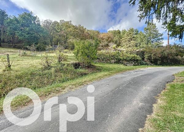 Terrain à vendre    4 049 m2 Brive-la-Gaillarde