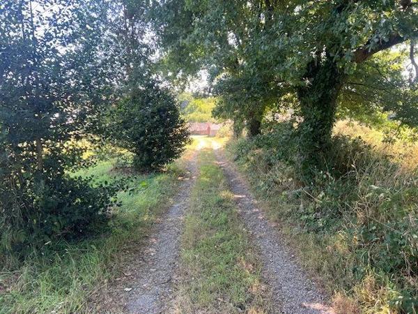 Vente Maison 8 pièces 220 m2 à Treillières