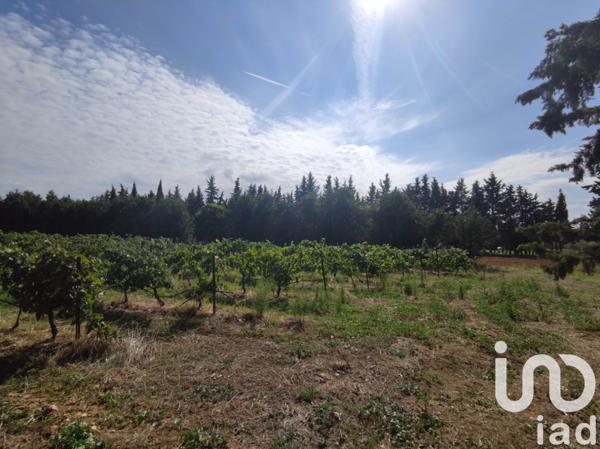 Terrain à vendre 10 700 m² Aubignan