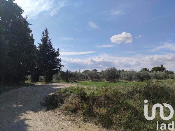 Terrain à vendre 10 700 m² Aubignan