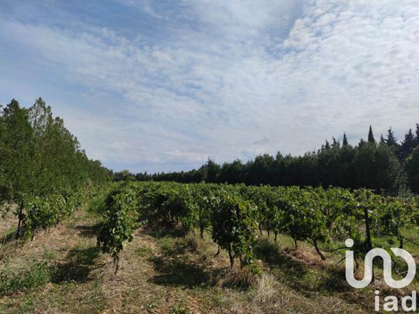 Terrain à vendre 10 700 m² Aubignan