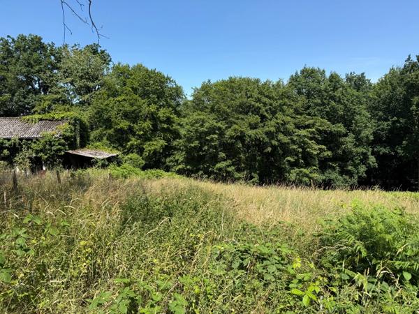 Terrain à vendre de 3 250,00 m² SAINT MARTIN DU VIVIER (76)