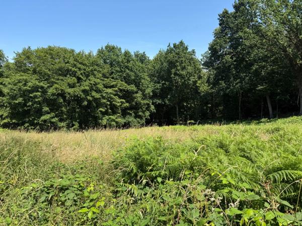 Terrain à vendre de 3 250,00 m² SAINT MARTIN DU VIVIER (76)