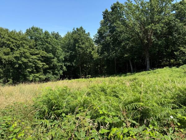 Terrain à vendre de 3 250,00 m² SAINT MARTIN DU VIVIER (76)
