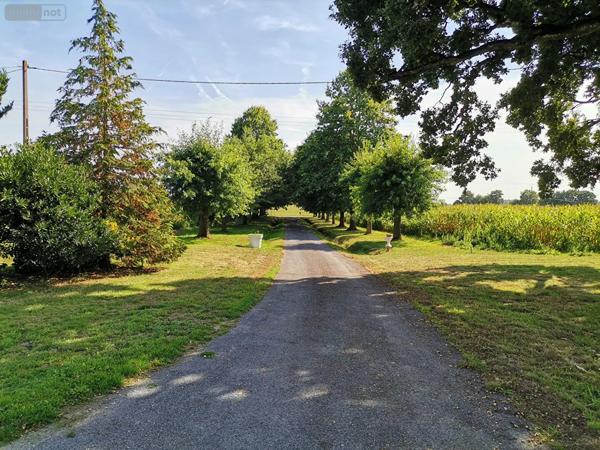 Achat - Maison Montauban-de-Bretagne 35360 10 pièces 290 m 2 7351 m 2