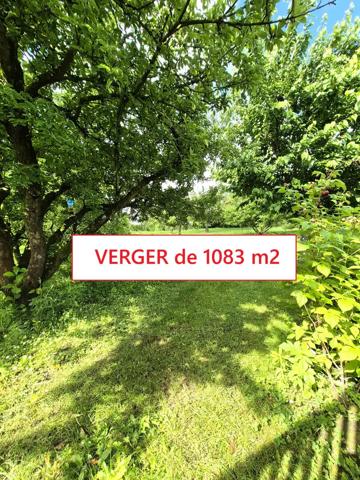 Maison à vendre 10 pièces 175m² Cambrai (59400)