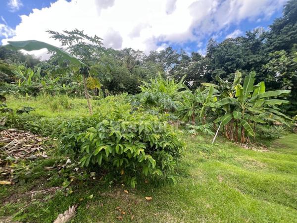 À vendre Terrain d’exception – 2 118 m² – Quartier Daubert, LE LAMENTIN (972)