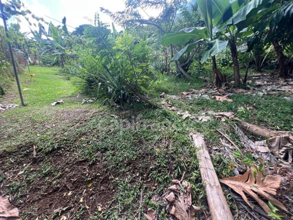 À vendre Terrain d’exception – 2 118 m² – Quartier Daubert, LE LAMENTIN (972)