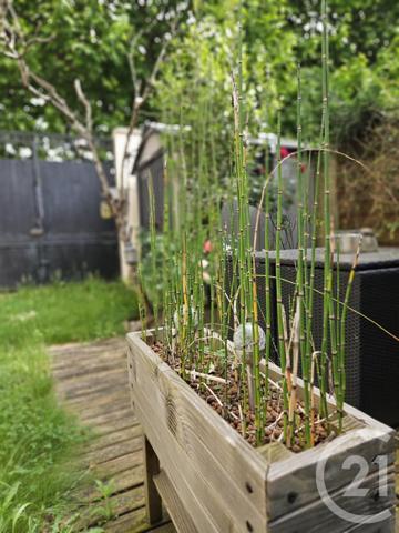 Appartement F2 à vendre  2 pièces - 57,04 m2 ST MAUR DES FOSSES - 94