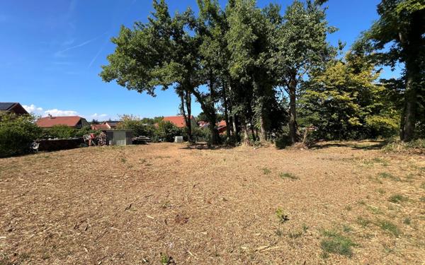 Terrain à vendre    Armoy