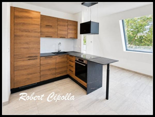 Attique T2 Metz _51,5m²_très grande terrasse de 41m² parking inclus + garage + cuisine équipée