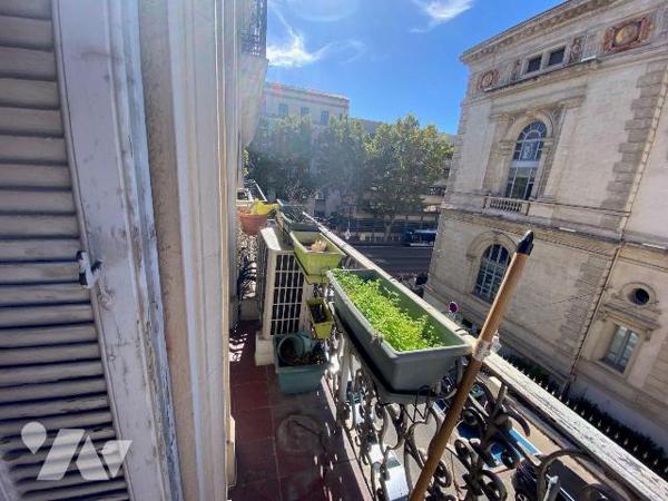 A VENDRE/APPARTEMENT/TOULON : quartier Haute-Ville, face au musée d'Art et à deux pas du jardin...