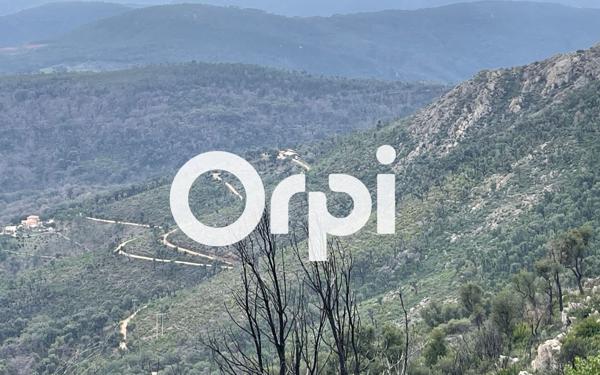 Terrain à vendre    La Garde-Freinet