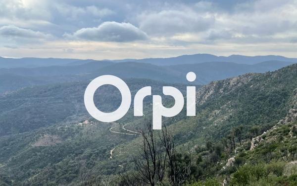 Terrain à vendre    La Garde-Freinet